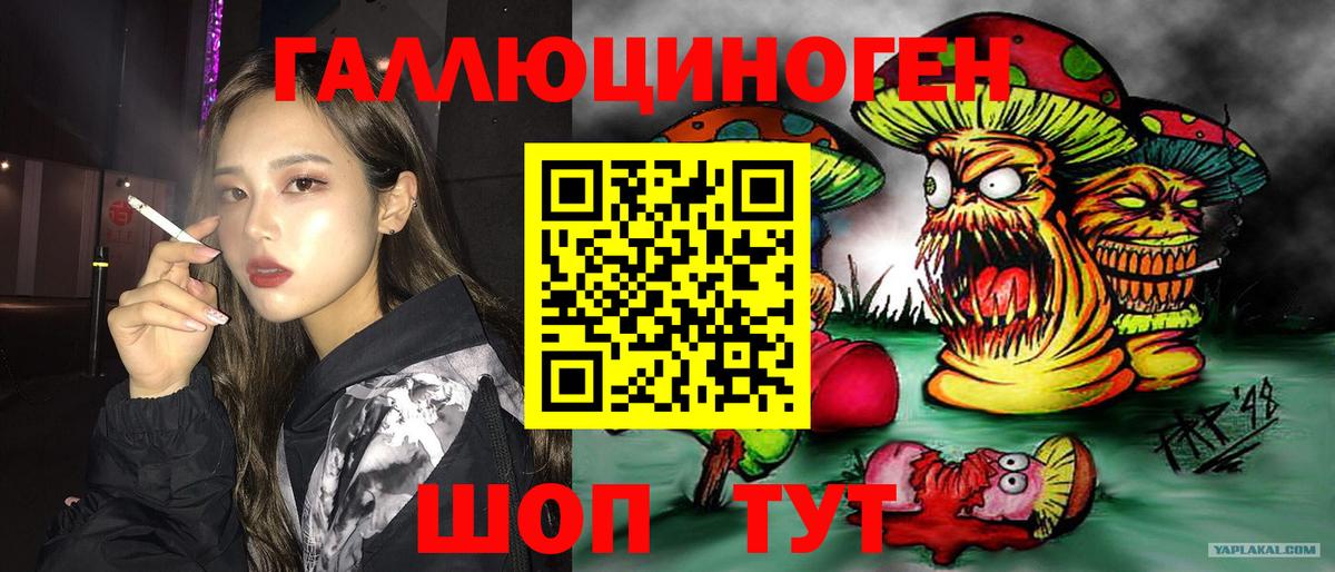 Галлюциногенные грибы MAGIC MUSHROOMS  Вход с VPN  Солнечногорск 