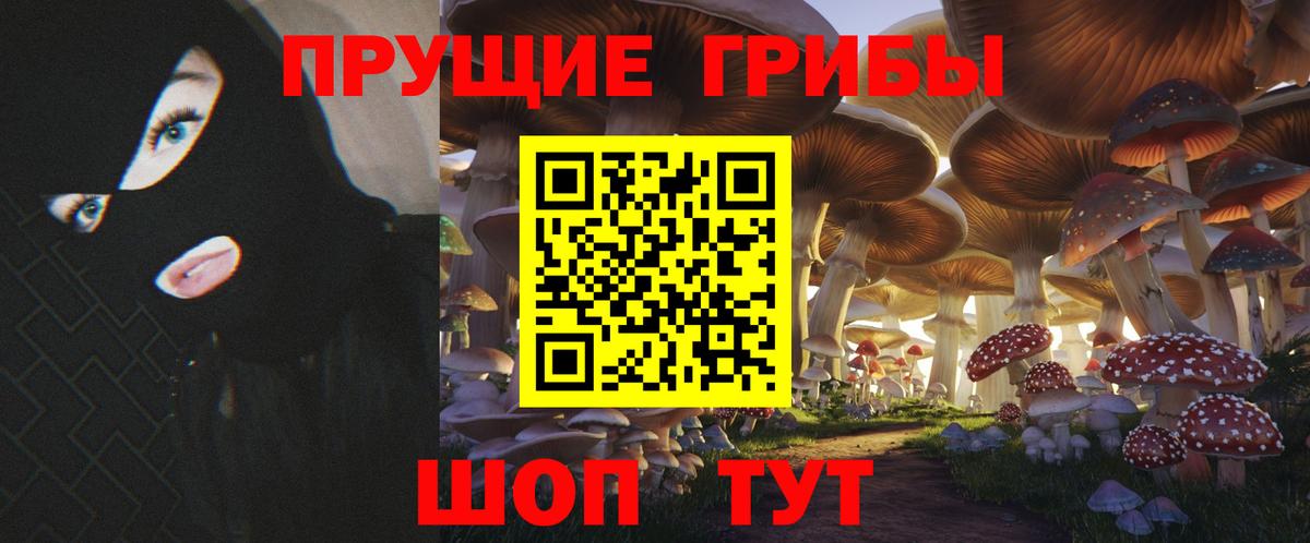 Галлюциногенные грибы GOLDEN TEACHER Солнечногорск